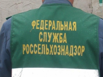 На Урале задержали крупную партию фиников из Казахстана