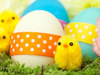 В Пыщуге открылась первая в Костромской области Пасхальная ярмарка