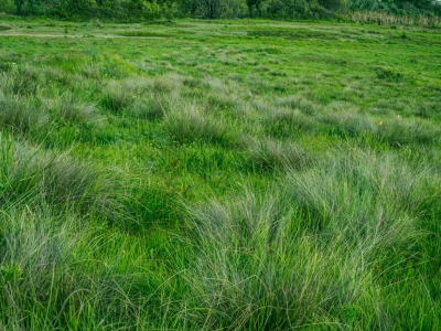 В Заволжском районе Ярославля выставили на торги участок за 131 млн