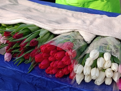 Весенние тюльпаны в Астрахани подорожали почти на 70%