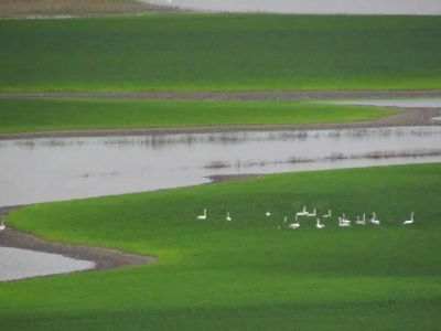 Краснодарский край отмечает Всемирный день водных ресурсов
