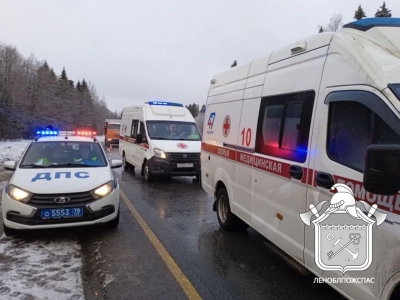 В Ленобласти на трассе А-180 «Нарва» столкнулись автобус и такси