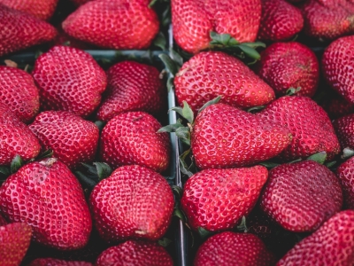 От клубники до арбузов: Крым насыщает прилавки Москвы