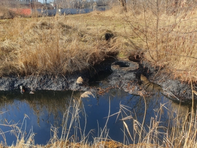 В Балтийске правоохранители проверяют версию экологов, как идет загрязнение Калининградского залива
