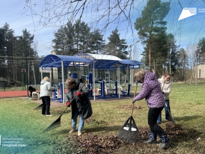 Дрозденко пригласил жителей Ленобласти на массовый Всероссийский субботник