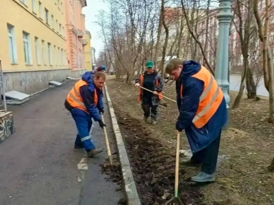 Иван Лебедев рассказал о весеннем озеленении Мурманска