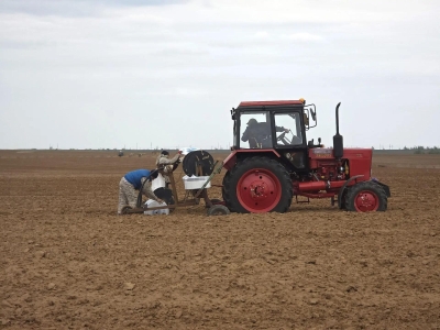 В Астраханской области вырос спрос на аграрных специалистов
