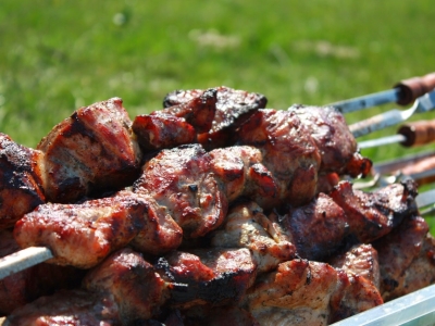 В Ярославле названы законные места для приготовления шашлыков