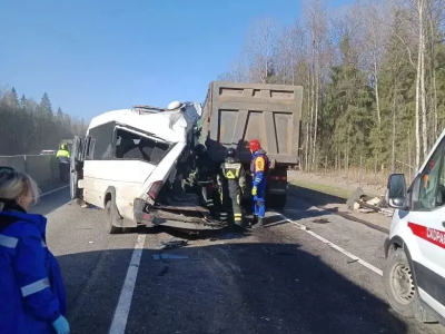В Тосненском районе Ленобласти в массовом ДТП пострадали девять человек