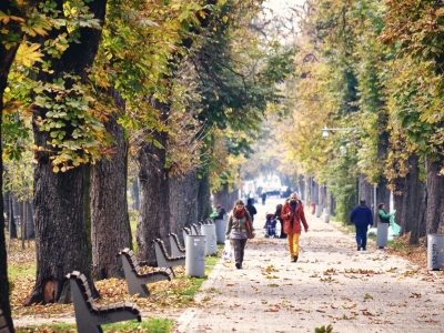 Парки Москвы временно закрыли из-за шторма