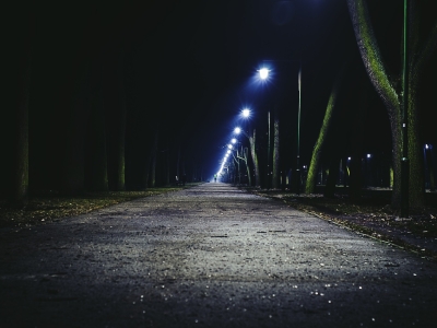 В Костроме к садовым участкам установят 100 новых фонарей