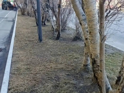 Иван Лебедев рассказал об уборке Мурманска в выходные