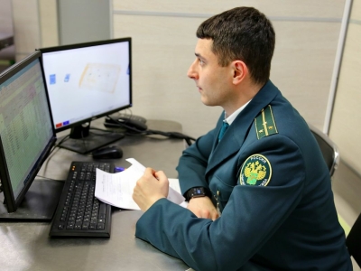 В Храброво предотвратили 70 попыток нелегального вывоза