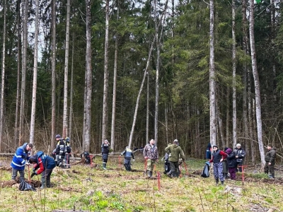 В Калужской области продолжается акция «Сад памяти»