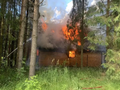 За сутки в Ленобласти при пожарах погибли два человека
