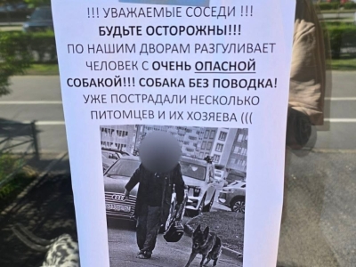 В Мурино агрессивная овчарка терроризирует собак и их владельцев