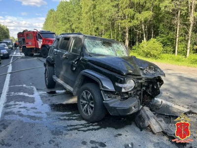 В Ленобласти возбудили уголовное дело по факту смертельного ДТП на трассе «Скандинавия»