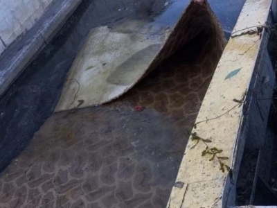 Более 20 кубометров мусора собрали из водоемов Астрахани