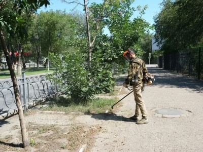 Дождливое лето заставило коммунальщиков Астрахани косить траву без остановки