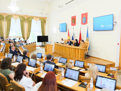 Парламентарии России и стран СНГ объединяют усилия с целью усовершенствования помощи семьям с детьми-инвалидами