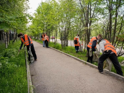 В Мурманске с начала года трудоустроили 570 человек по проекту «Работа рядом»