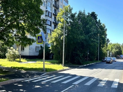 Новые «зебры» появились в пяти районах Петербурга