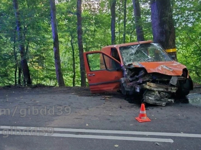 В Зеленоградском районе водитель «Форда» погиб после наезда на дерево