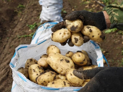 Астраханская область увеличила поставки продукции в Казахстан