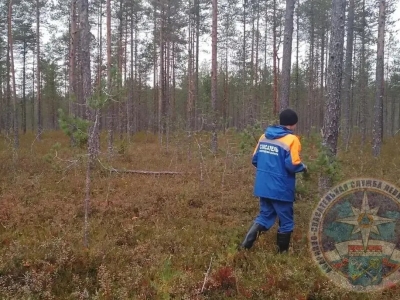 В Ленинградской области нашли тело пропавшего в лесу мужчины