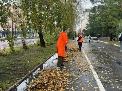 Лебедев рассказал о современных технологиях уборки листвы в Мурманске