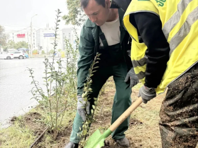В Астрахани продолжается осеннее озеленение городских территорий