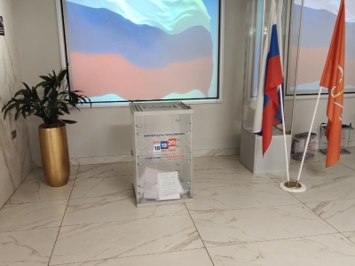 Глава Петроградского района Петербурга Дмитрий Ваньчков проголосовал на выборах
