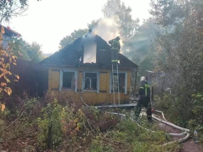 В Ленобласти за сутки потушили 11 пожаров и ликвидировали шесть ДТП