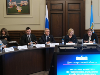 В Думе Астраханской области обсудили результаты парламентского контроля по поддержке развития сельского хозяйства